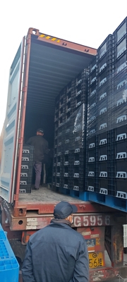 600*400mm ESD Plastikboxen ESD-Lagerbehälter Leitungskiste für elektronische Teile